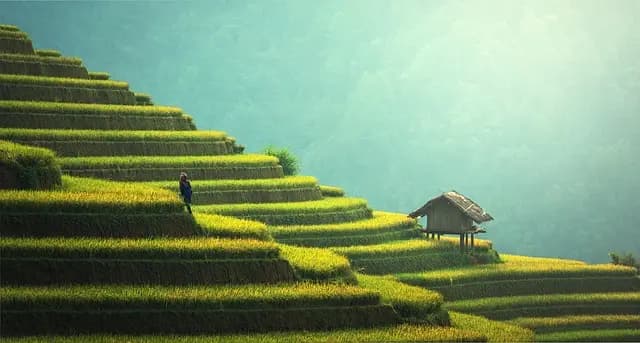 Choisir un Déguisement Éthique : Guide Pratique
