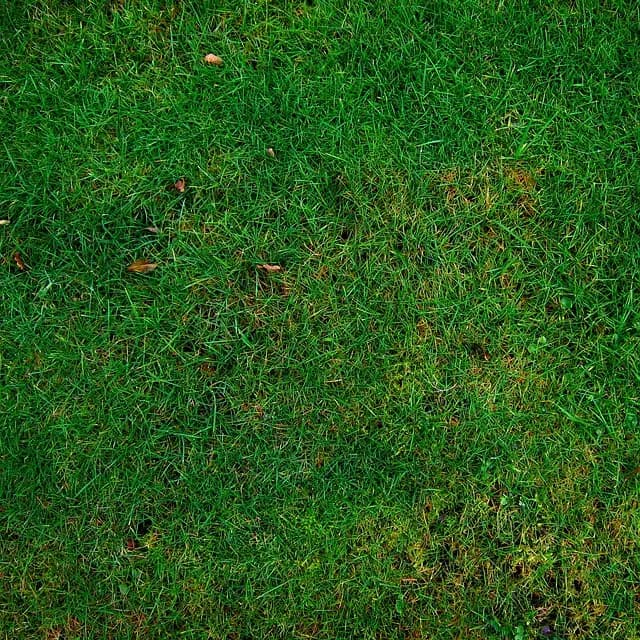 Les Secrets pour Bien Choisir un Déguisement Écologique