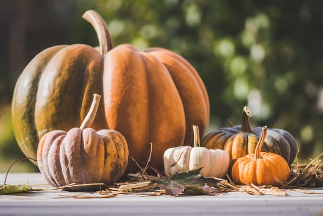 Les catégories de déguisements : Comment choisir le bon costume